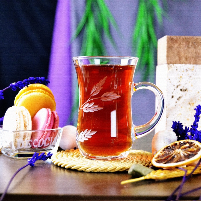 Decocia 6lı Kulplu Çay Bardağı 145cc Sürgün Desenli