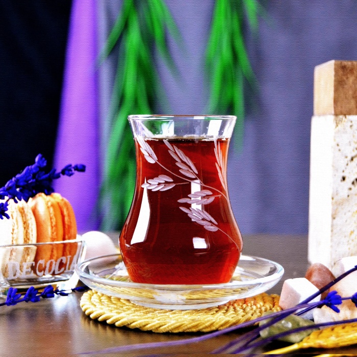 Decocia Afro 12 Kişilik 24 Parça Çay Seti 170cc Sürgün Desenli