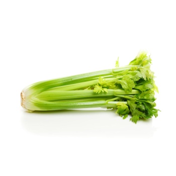 Premium Fresh Celery