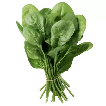 Imdajun Premium Spinach Extract