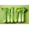 Premium Fresh Celery