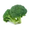 Imdajun Premium Broccoli Extract