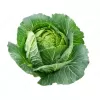 Imdajun Premium Cabbage Extract