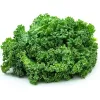 Imdajun Premium Kale Extract