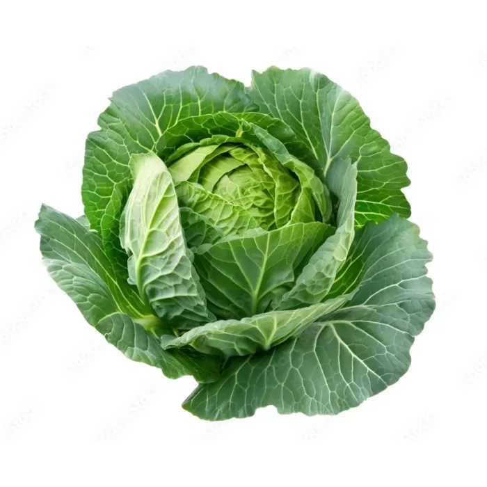 Imdajun Premium Cabbage Extract