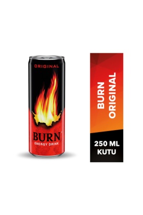 Burn Enerji İçeceği Kutu 250 ML