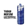Red Bull Enerji İçeceği Yaban Mersini 250 Ml