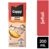 Cappy Şeftali Nektarı Karton Kutu 200 ML