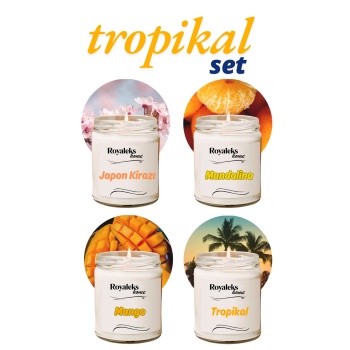 4 Adet Doğal Özel Seri Kokulu Dekoratif Kavanoz Mum 4X210 cc - Tropikal Set - RYL