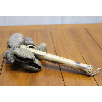 Coconat Sarkaçli Marakas Dıarta:2 - Lisinya