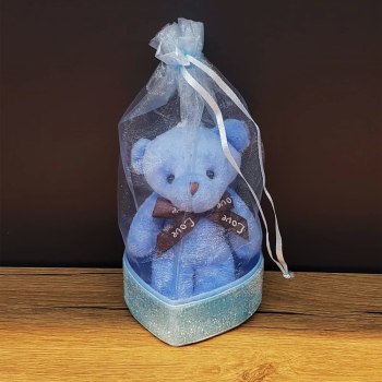 Doğum Hediyesi Kese İçinde Ayıcık - Lisinya