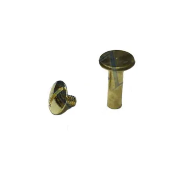 Cilt Menü, Katalog, Kartela Vidası, 20 Mm - Sarı, 100 Adet - Lisinya