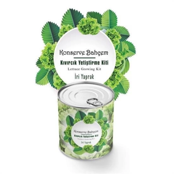 Konserve Bahçem Evde Konservede İri Yapraklı Kıvırcık Yetiştirme Kiti ( Lisinya )
