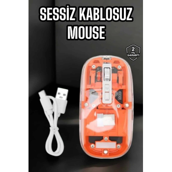 Kablosuz Mouse Fare 5.0 Bluetooth Bağlantılı Usb Girişli ( Lisinya )