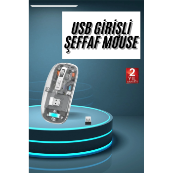 Kablosuz Mouse Fare Şarjlı Bluetooth Wireless Çift Modlu Sessiz ( Lisinya )