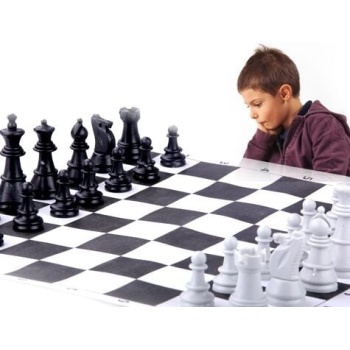 Okullara Özel Satranç Takımı -