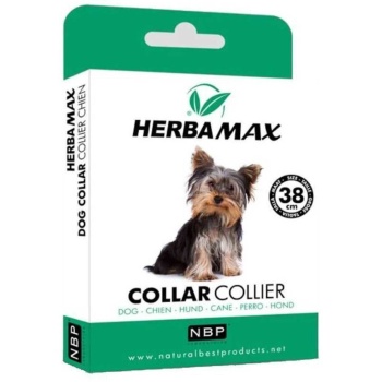 Pire Dış Parazit Kene Tasması - 38 Cm -