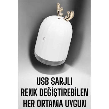 Aromaterapi Hava Temizleyici Buhar Makinesi Taşınabilir Şarjlı -