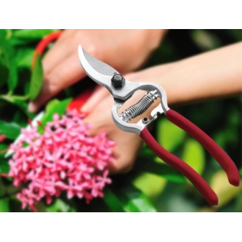 Bağ Makası - Bahçe Ağaç Dal Budama Makası ( Lisinya )