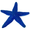 Hayvan Figürleri - Deniz Hayvanları 10 cm - Deniz Yıldızı