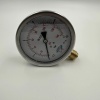 Manometre Gliserinli Alttan Çıkışlı Q100 - 0 - 10 Bar 1/2 (Lisinya)