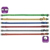 Kedi Tasma Çing. 25-35Cm Karişik Renkli
