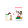 Tavuklu Yavru Kedi sı 1.5 kg