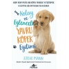 Kolay ve Eğlenceli Yavru Köpek Eğitimi
