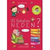 Bil Bakalım Neden