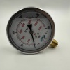 Manometre Gliserinli Alttan Çıkışlı Q100 - 0 - 1000 Bar 1/2 (Lisinya)