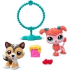 00584 - LİTTLEST PET SHOP 2 Lİ FİGÜR SET (Lisinya)