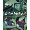 Ormanlar - Dünya  Üzerindeki Balta Girmemiş  Ormanlar, Korular ve Doğal  Rezervler