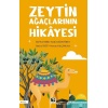 Zeytin Ağaçlarının Hikâyesi
