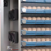 Endüstriyel 256 Yumurtalık Otomatik Kuluçka Makinesi Dijital Panel Isı Nem Ayarlı – Tavuk Ördek Civciv Hindi Yumurta ( Lisinya )