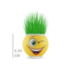 Çim Adam Saksı Emoji Figürlü 1 Adet ( Lisinya )