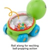 Fisher Price Poppity Araçlar - Kaplumbağa Bfh75