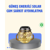 Güneş Enerjili Cam Sarkıt Bahçe Balkon Teras Aydınlatma 30 Led ( Lisinya )