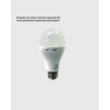 Şarjlı Led Ampul 30 Watt Soğuk Beyaz ( Lisinya )