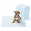 Yıkanabilir Köpek Çiş Pedi - 100 X 100 Cm 5li Paket -