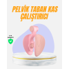 Evde Kullanıma Uygun Uyluk Kalça ve Pelvik Egzersiz Aleti -