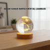 3D Yunus Desenli Kristal Küre Ahşap Tabanlı Işıklı Dekor Objesi -