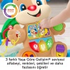 Fisher Price Eğitici Köpekçik Yürüteç Türkçe FTG10