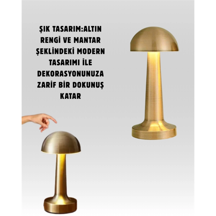 %100 Kademeli Ayarlanabilir Işık – USB Şarjlı Masa Lambası ( Lisinya )