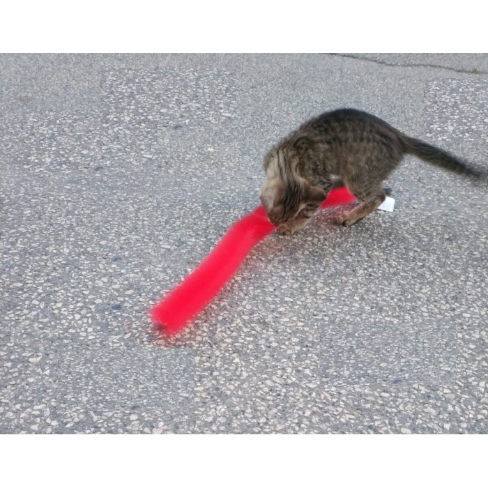 Kedi Tırmalama Fırçası - Kedi Oyuncağı -