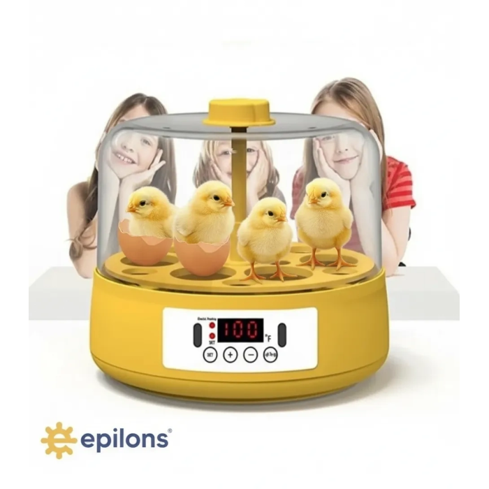 Mini Otomatik Ev Tipi Kuluçka: Elektrikli Tavuk ve Kuş Kuluçka Makinesi 6 Yumurtalı MX-6