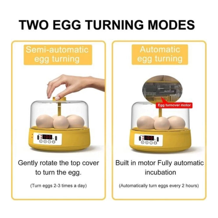Mini Otomatik Ev Tipi Kuluçka: Elektrikli Tavuk ve Kuş Kuluçka Makinesi 6 Yumurtalı MX-6