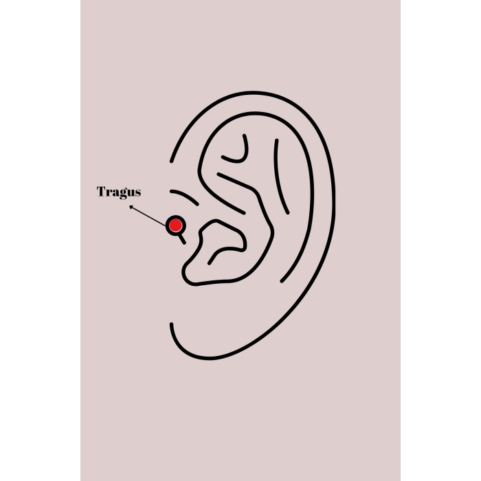 316L Çelik Gümüş Renk Zirkon Taşlı Deniz Yıldızı Model Tragus Piercing - Lisinya