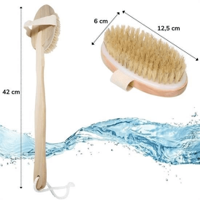 Doğal At Kılı Selülit Karşıtı Sapı Çıkabilen Ahşap Banyo Fırçası ( Lisinya )