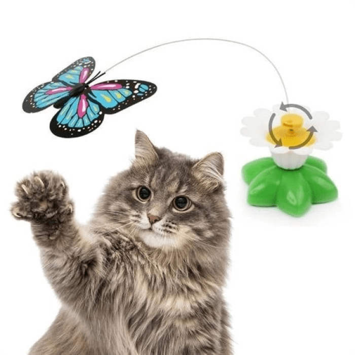 Hareketli Dönen Kelebek - Kedi Oyuncağı ( Pille Çalışır) ( Lisinya )