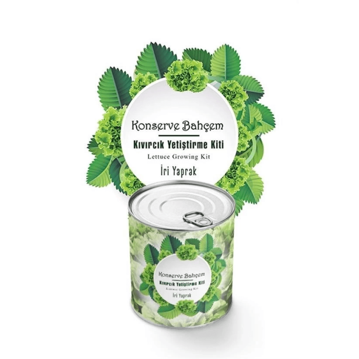 Konserve Bahçem Evde Konservede İri Yapraklı Kıvırcık Yetiştirme Kiti ( Lisinya )